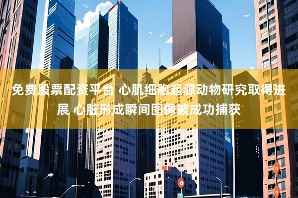 免费股票配资平台 心肌细胞起源动物研究取得进展 心脏形成瞬间图像被成功捕获