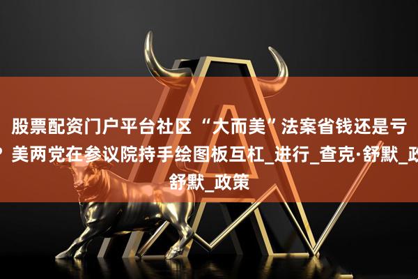股票配资门户平台社区 “大而美”法案省钱还是亏钱？美两党在参议院持手绘图板互杠_进行_查克·舒默_政策